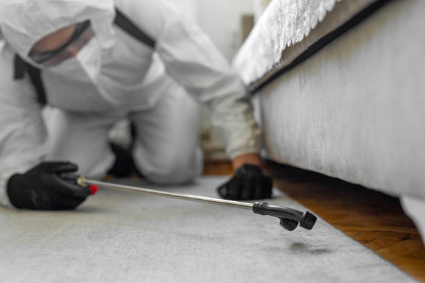 Professional Pest Control technician working in Sloan, NY
