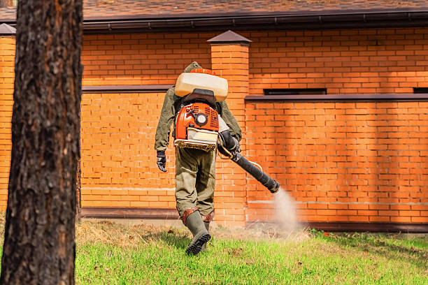 Trusted Bed Bug Control service in Sloan, NY - Nex Pest Control